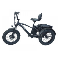 Электровелосипед фэтбайк стальной трехколесный 20" 750w 48V18AH