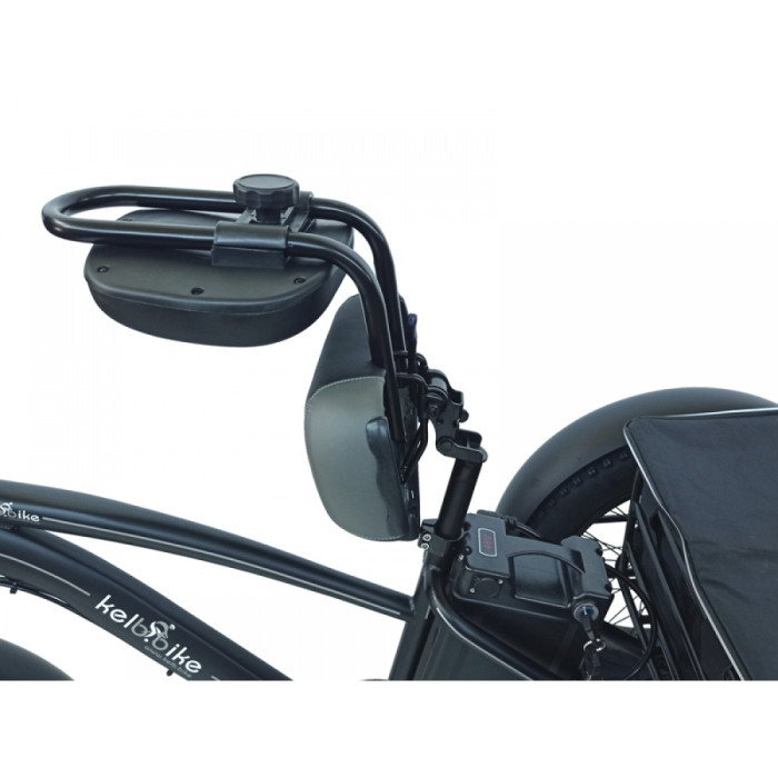 Электровелосипед фэтбайк стальной трехколесный 20" 750w 48V18AH