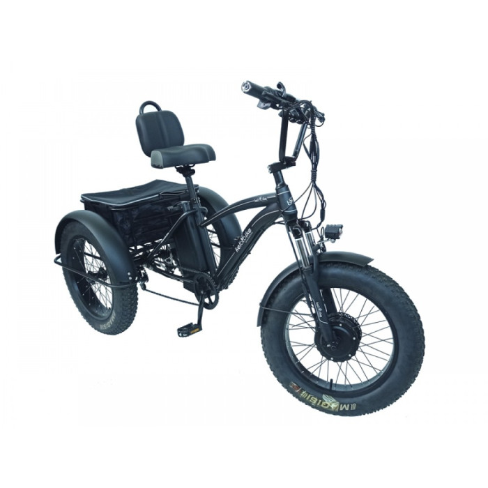 Электровелосипед фэтбайк стальной трехколесный 20" 1000w 48V20AH