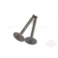 Клапаны (пара, голые) м/б 168F/170F (6,5/7Hp) ST, пара Клапаны (пара, голые) м/б 168F/170F (6,5/7Hp) ST, пара