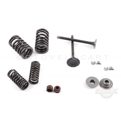 Клапаны (пара, в сборе) 4T GY6 80 (L-69mm), компл. Клапаны (пара, в сборе) 4T GY6 80 (L-69mm), компл.