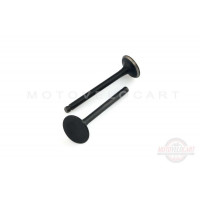 Клапаны (пара, голые) Delta 70 (L-66.5mm) "MANLE" Клапаны (пара, голые) Delta 70 (L-66.5mm) "MANLE"