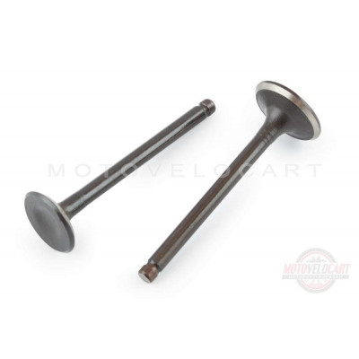 Клапаны (пара, голые)   Delta 70   (L-66mm)   KOMATCU   (mod.A)