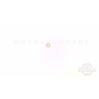 Привод маслонасоса б/п (червяк) для Goodluck GL4500/5200 WOODMAN (mod.A), шт Привод маслонасоса б/п (червяк) для Goodluck GL4500/5200 WOODMAN (mod.A), шт