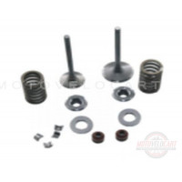 Клапаны (пара, в сборе) Honda 4T SH 125/150 VV, компл. Клапаны (пара, в сборе) Honda 4T SH 125/150 VV, компл.