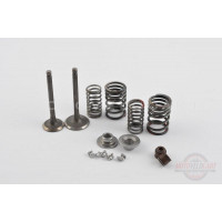 Клапаны (пара, в сборе) Yamaha YBR125 (L-65mm) Клапаны (пара, в сборе) Yamaha YBR125 (L-65mm)