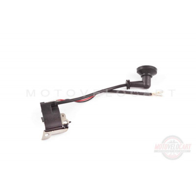 Катушка зажигания мотокосы 1E40F Катушка зажигания мотокосы 1E40F