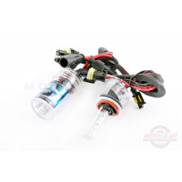 Лампы ксеноновые (пара) H9 (12V 35W DC AMP) 6000K Лампы ксеноновые (пара) H9 (12V 35W DC AMP) 6000K