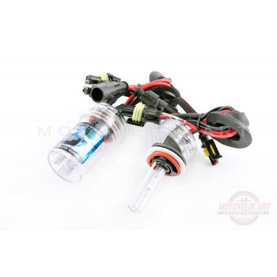 Лампы ксеноновые (пара)   H9 (12V 35W DC AMP)   6000K