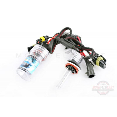 Лампы ксеноновые (пара)   H11 (12V 50W DC AMP)   5000K