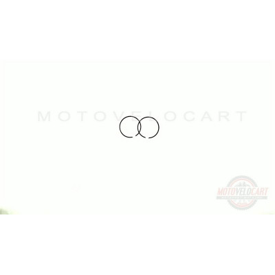 Кольца   2T TB 60, Suzuki RUN 60   1,00   (?44,00)   SUNY   (mod.A), компл.