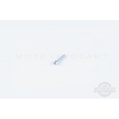 Болт с внутренним шестигранником (L-30, ?8mm) "GUANG" Болт с внутренним шестигранником (L-30, ?8mm) "GUANG"