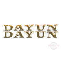 Наклейка   буквы   DAYUN   (19х4см, 2шт, золотые)   (#DYN)