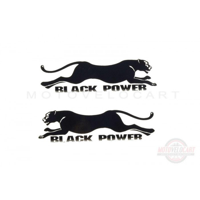 Наклейки (набор) "PANTHER" (14х4,5см) (#SEA)