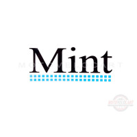 Наклейки (набор)   MINT   (13х5.5см)   (#1264), шт