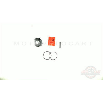 Поршень 2T TB 60, Suzuki RUN 1,00 (?44,00 p-10) SUNY (mod.B), компл. Поршень 2T TB 60, Suzuki RUN 1,00 (?44,00 p-10) SUNY (mod.B), компл.
