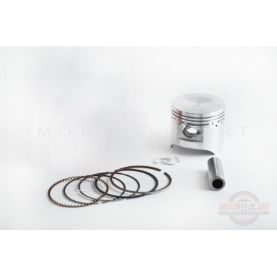 Поршень   Delta 100   .STD  (?50,00)   SUNY   (mod.A), компл.