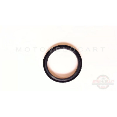 Сальник заводного вала ЯВА 6/12V 350, 360, Чезет (19 *24,3 *2/3 mm) (Чехия) VCH, шт Сальник заводного вала ЯВА 6/12V 350, 360, Чезет (19 *24,3 *2/3 mm) (Чехия) VCH, шт
