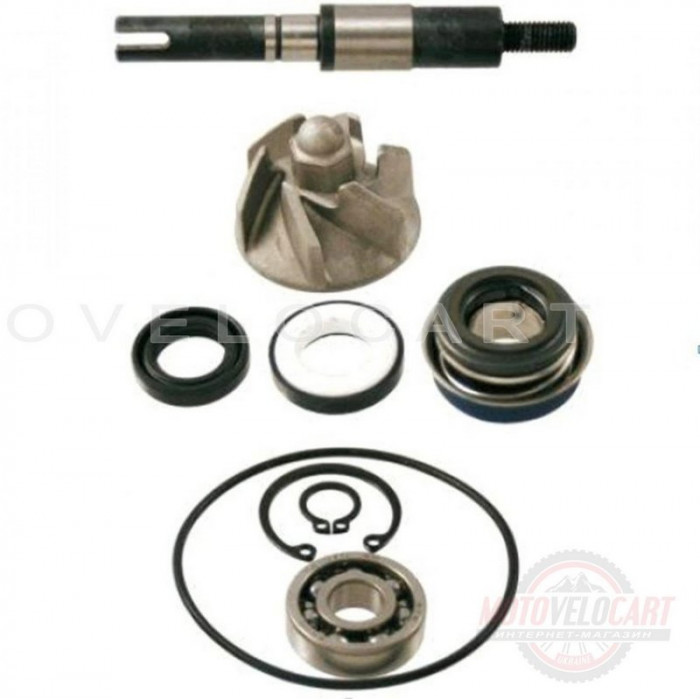 Ремкомплект помпы (полный)   Honda SH 125/150   VV, компл.