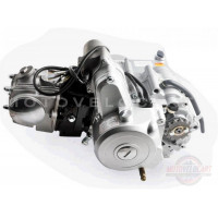 Двигатель   Delta 125cc   (АКПП)   (TM)   EVO, шт