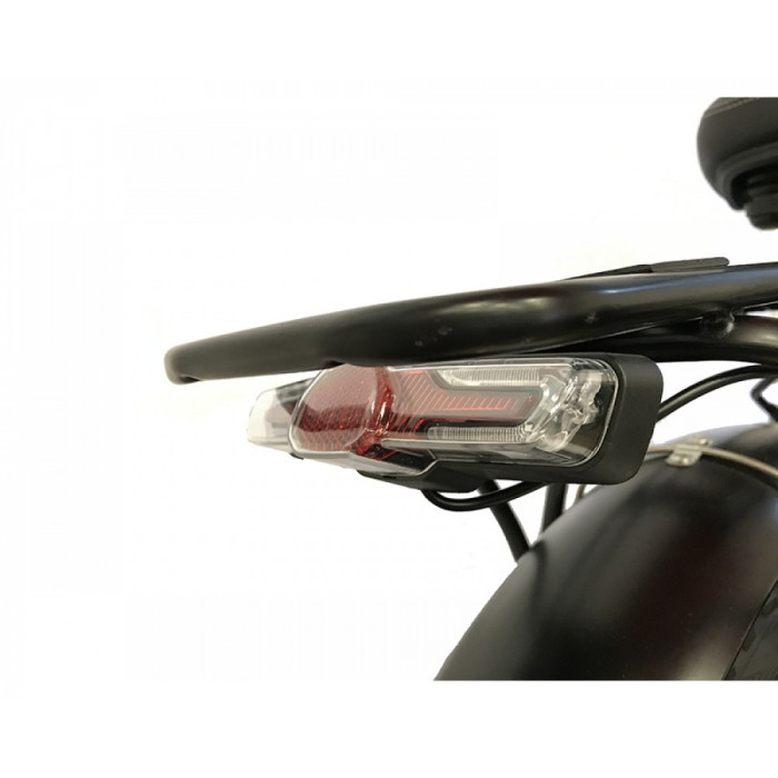 Электровелосипед фэтбайк 20" E-1913 WS-20 500W, 48V Электровелосипед фэтбайк 20" E-1913 WS-20 500W, 48V